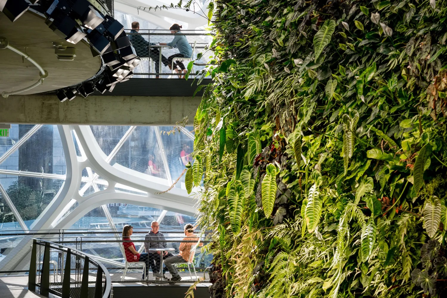 Amazon Spheres Atrium | NBBJ